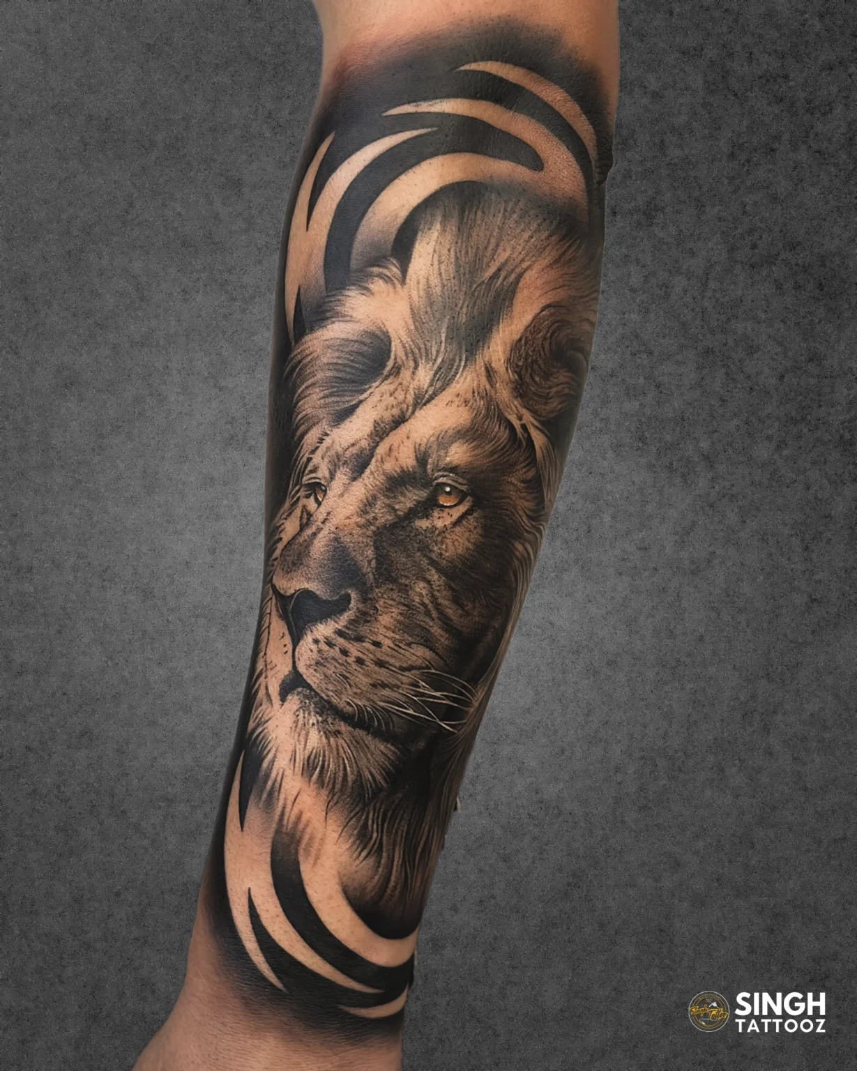 Lion- black tattoo